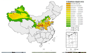 农业农村部信息中心与佳格天地联合发布2020年全国主产区苹果花期冻害预警分析