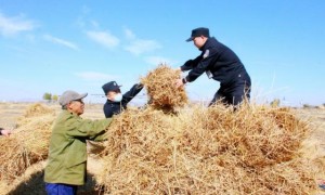 冰城公安：打造“田间警务” 助力守护丰收画卷