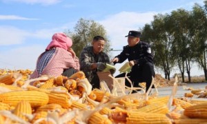 冰城公安：多元化解 从田间地头走进百姓心头