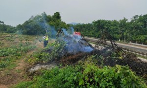 高速公路护栏边上随意焚枝，交通执法人员严厉批评教育