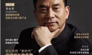 邓丽君：从全职妈妈到商业领袖，美思康宸的辉煌之路